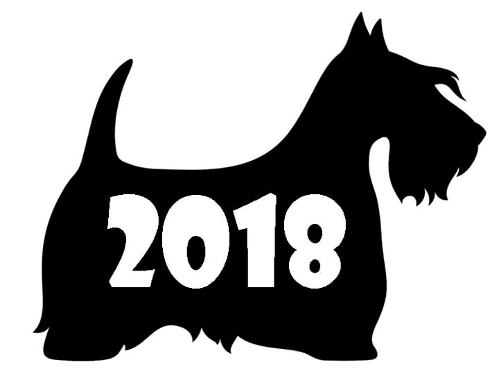 собака трафарет 2018