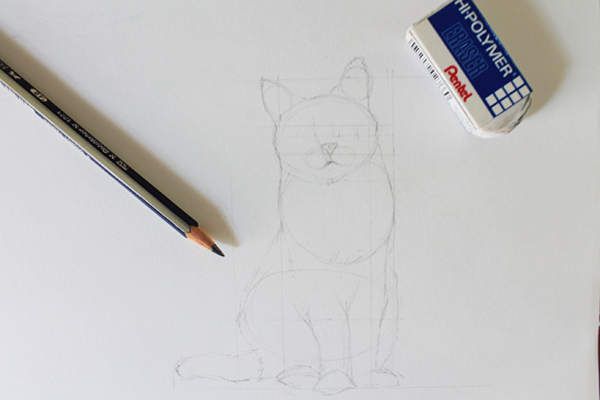 Start your cat drawing with light guidelines on cat