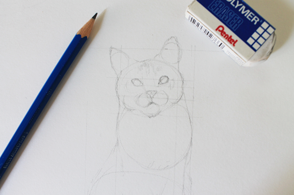 Draw the features of a cat