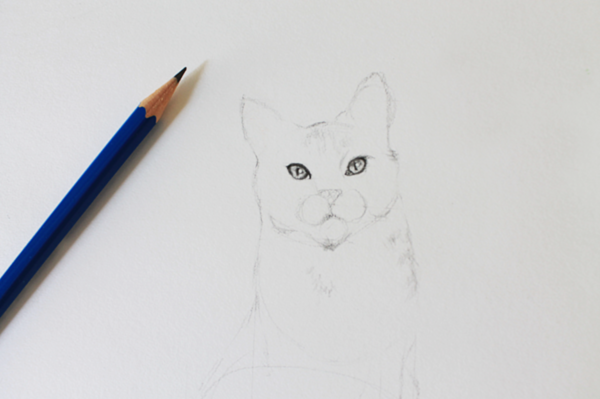 Draw a Realistic Cat