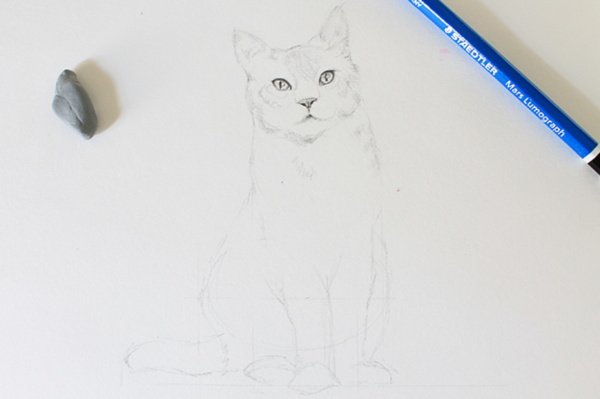 Unfinished Sketch of a Realistic Cat