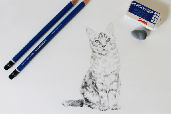 Learn how to draw a realistic cat with Craftsy