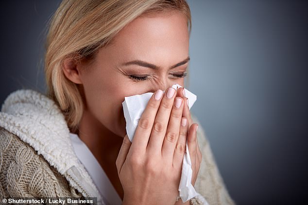 The common cold can be cured with salt water as the body uses it to produce anti-viral bleach, scientists believe. Nose drops and gargling salt water, a method called were shown to reduce the average length of the virus by up to two days in a study