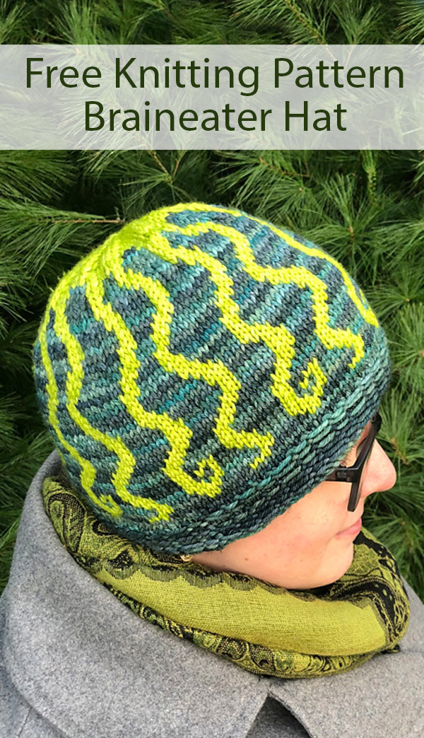 Free Knitting Pattern for Braineater Hat