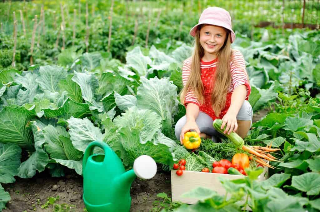 Young girl in the vegetable garden