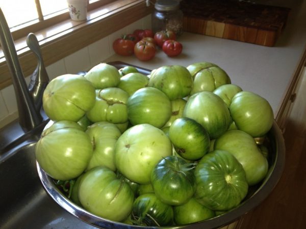 Green-Tomatoes