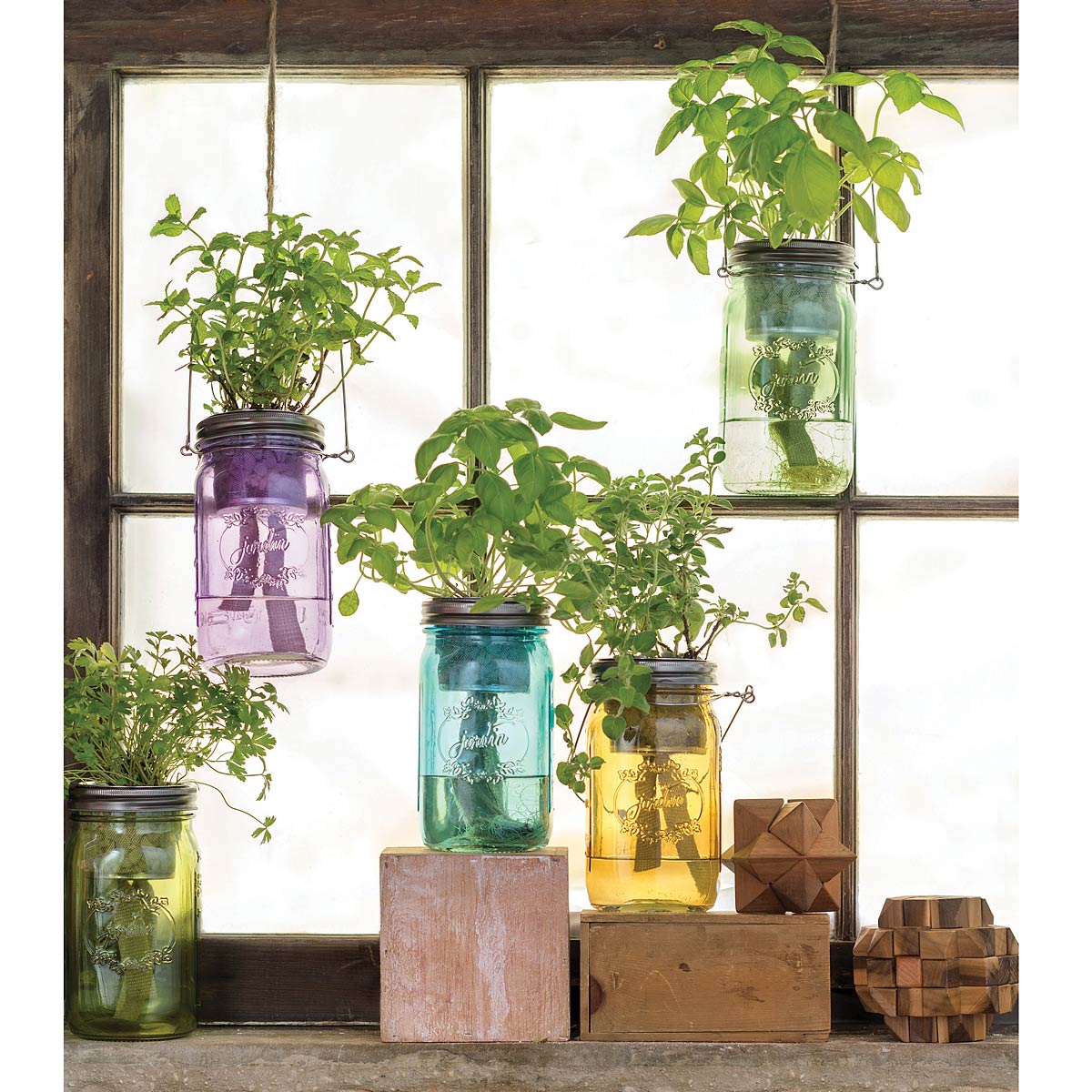 mason jars hydroponic system