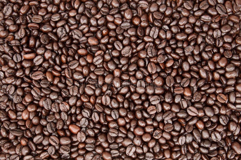 Brown coffee bean ,texture,background,closeup. Brown coffee bean background texture royalty free stock images