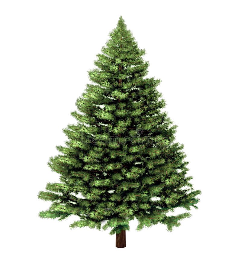 Christmas Tree royalty free stock photography