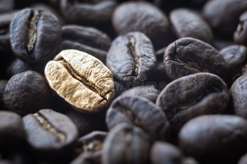 Close-up of the golden bean on roasted coffee background. Close-up macro of the golden bean on roasted coffee background, food, pattern, drink, beverage royalty free stock photography