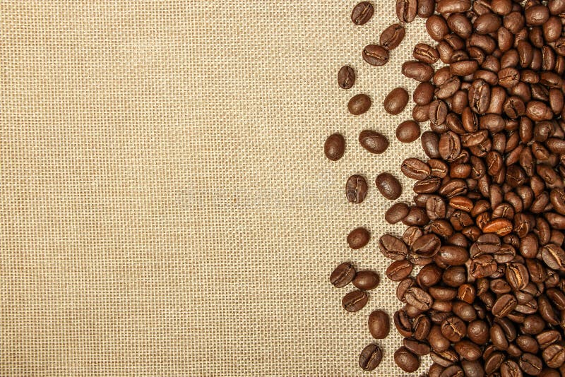 Coffee bean background. Fresh coffee bean is on the burlap sack background royalty free stock photo