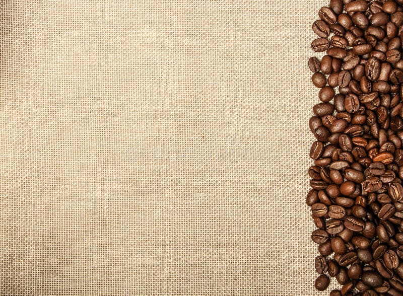 Coffee bean background. Fresh coffee bean is on the burlap sack background royalty free stock image