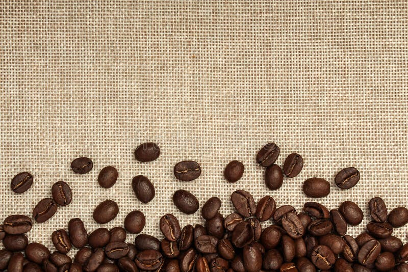 Coffee bean background. Fresh coffee bean is on the burlap sack background royalty free stock photos