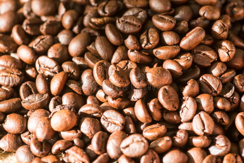 Coffee bean. With dark background stock image