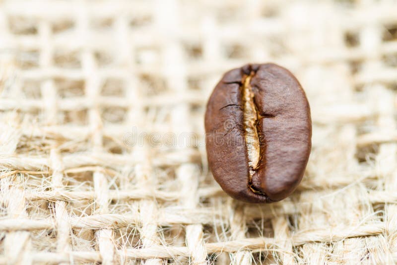 Coffee bean. Placed on jute fabric stock photography