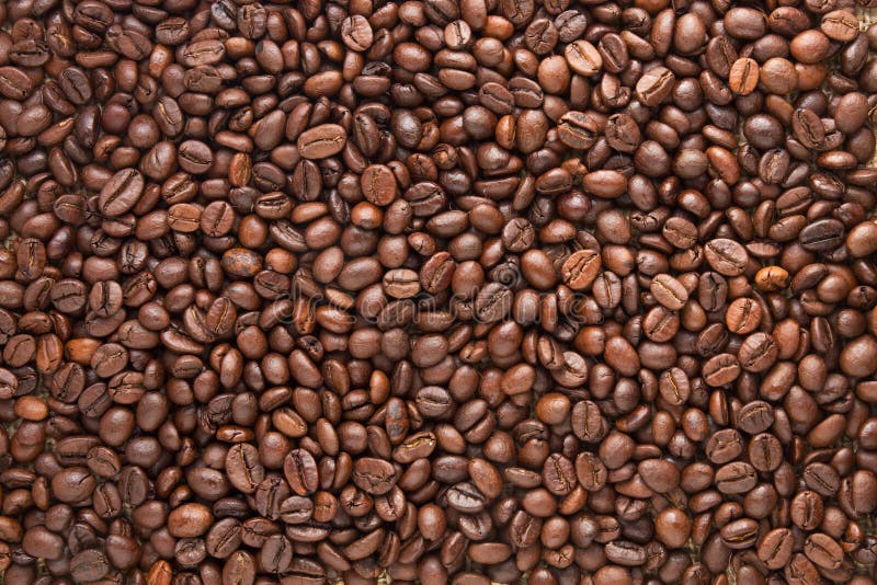 Coffee Beans pattern. Texture of Coffee Beans pattern background stock images