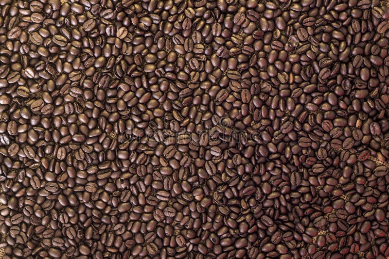 Coffee beans pattern background gold and dark.  stock images
