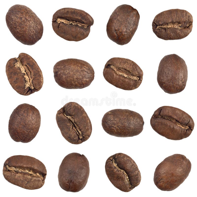 Coffee beans seamless pattern. Seamless pattern of coffee beans isolated on white background. For more isolated objects please visit my collections royalty free stock images