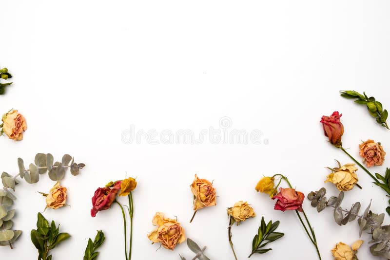 Dried flowers composition. Frame made of dried rose. Flat lay, top view Autumn floral  pattern royalty free stock photography