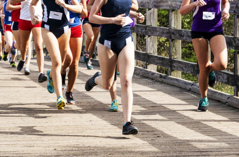 Girls high school cross country race running on a bridge. Many runners in a high school girls cross country race are running over a wood bridge at Sunken MEadow stock photos