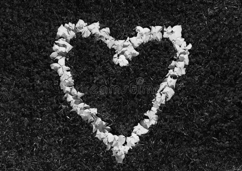 A heart made from flowers royalty free stock photos