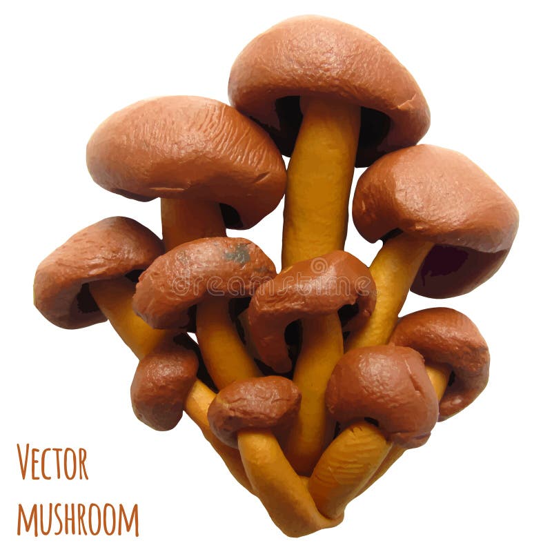 Icon of plasticine mushroom. Vector illustration. Icon of plasticine mushroom on white background. Design for your website royalty free illustration