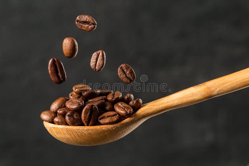 Macro falling coffee bean on gray background. Levitation coffee beans. Food ingredients, space for text royalty free stock photos