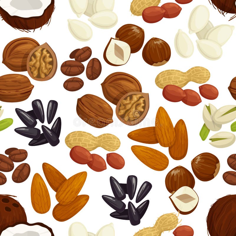 Nut, bean, seed, grain seamless pattern background. Nut, bean, seed and grain seamless pattern of fresh peanut, coffee bean, hazelnut, pistachio, almond, walnut stock illustration