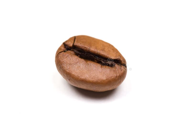 Single Coffee bean isolated on white background. Landscape orientation stock photo
