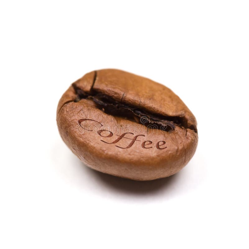 Single coffee bean isolated on white background. Square format stock photos
