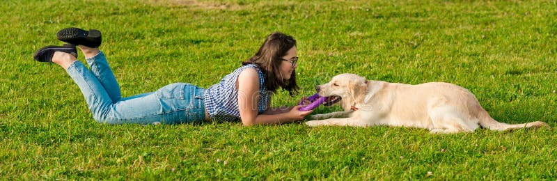 Woman training her dog golden retriever in the park royalty free stock image