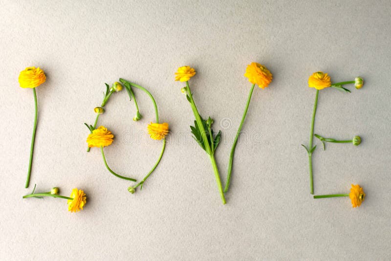 Word LOVE made of yellow flowers on green pastel background. Minimal love concept. Mothers day and Valentine`s Day Flat lay stock image