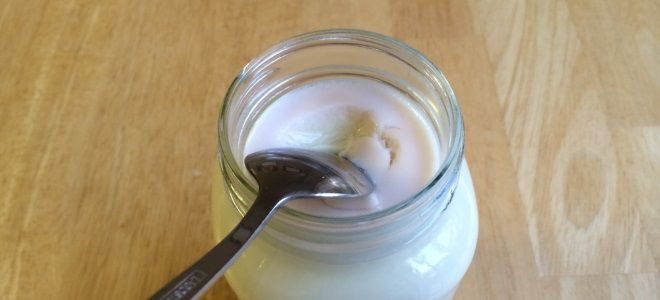 йогурт на соевом молоке