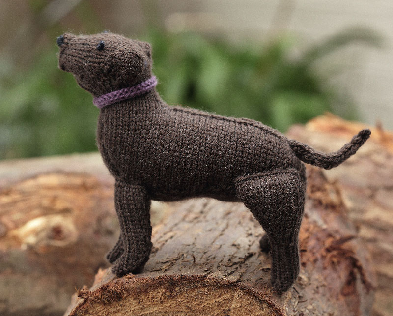 Labrador Retriever Free Dog Knitting Pattern