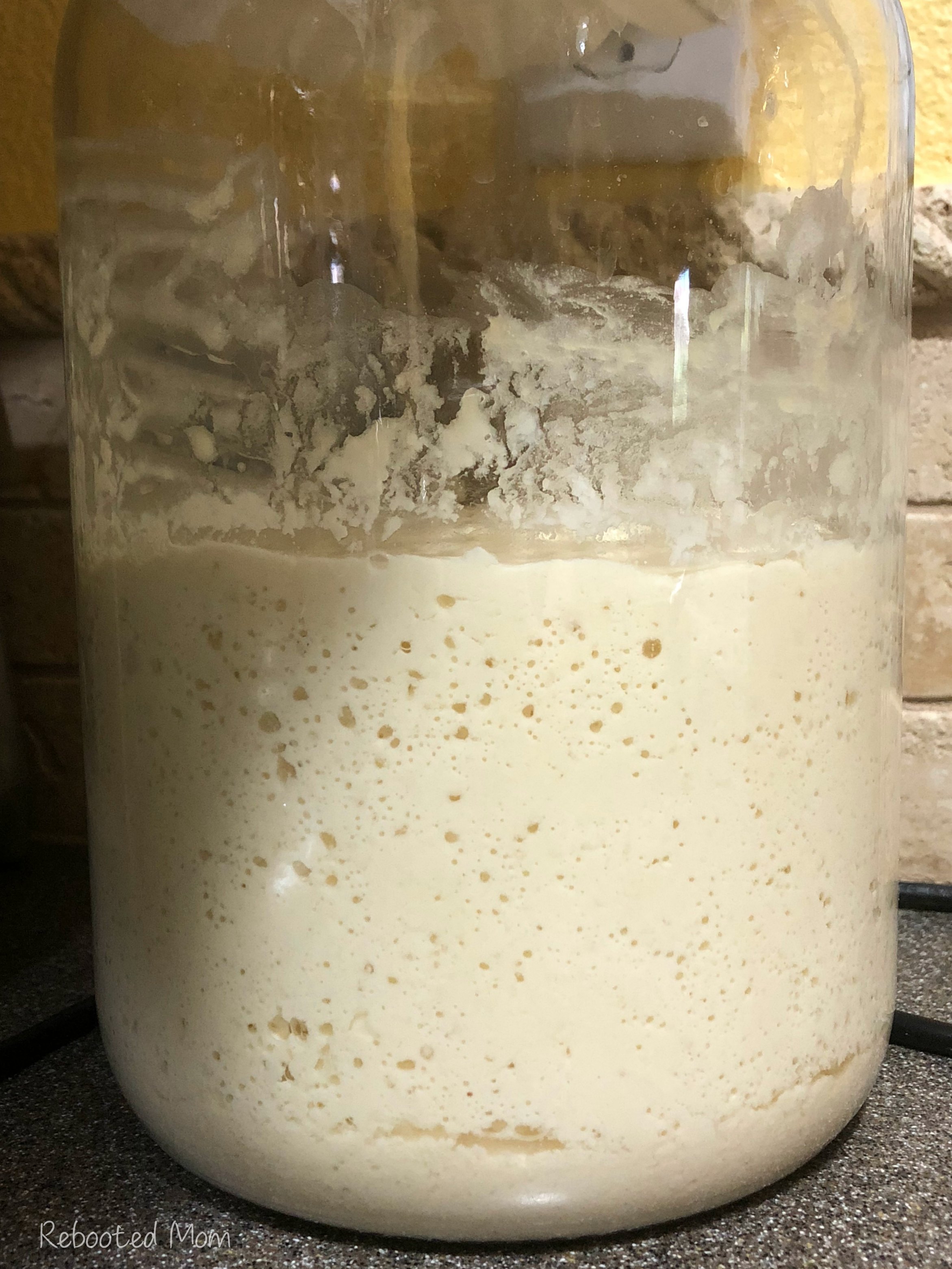 Gallon jar of kefir sourdough starter that
