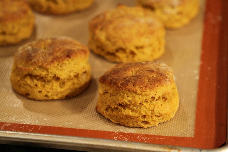Pumpkin Biscuits fresh out of the oven