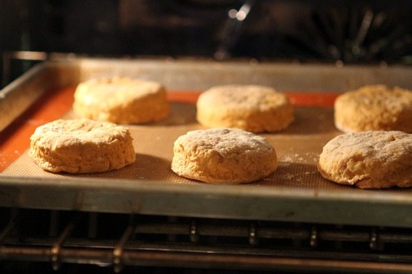 Baking Pumpkin Biscuits